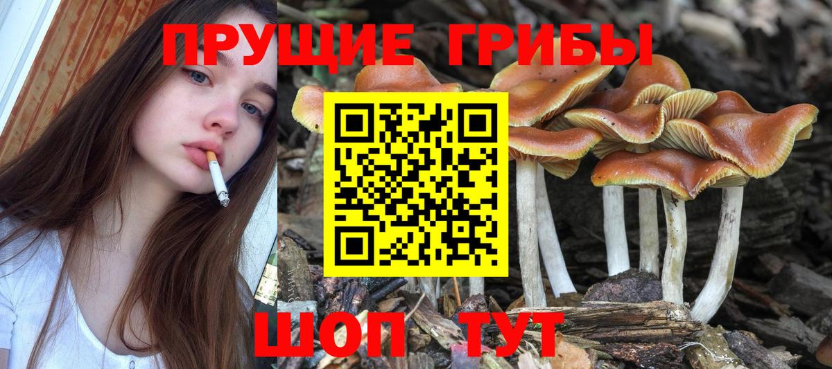 Галлюциногенные грибы ЛСД  Вход с VPN  Грязи 